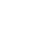 006 palm tree