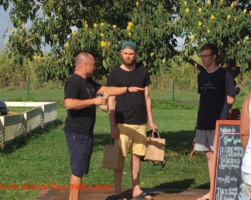 break at green world