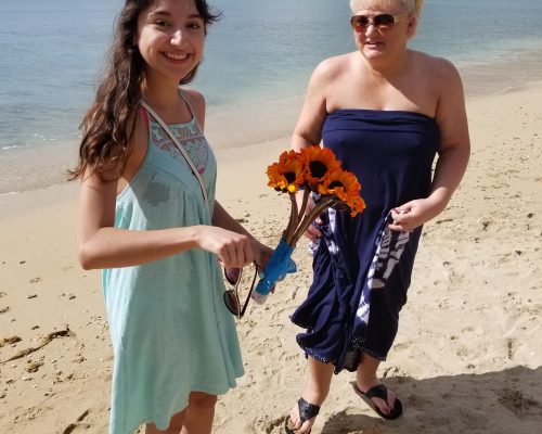 proposal circle island